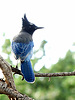 Featured Full Photo