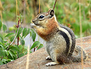 photo thumbnail #11