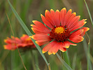 photo thumbnail #13