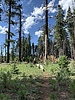 photo thumbnail #13