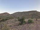 photo thumbnail #15