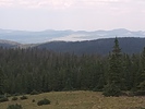 recent photo