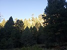 recent photo
