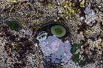 photo thumbnail #15