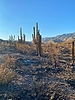 photo thumbnail #8