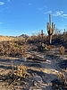 photo thumbnail #11