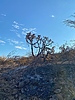 photo thumbnail #12