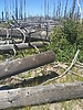 photo thumbnail #2
