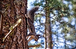 2020-08-31 :2: Derrick - Horton Loop :: Yoder
