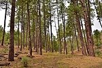 photo thumbnail #10