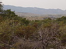 photo thumbnail #6