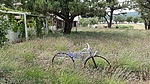 photo thumbnail #5