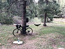 photo thumbnail #3