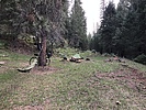 photo thumbnail #4