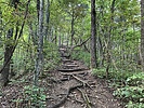 photo thumbnail #7