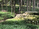 photo thumbnail #8