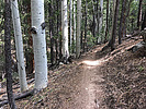 photo thumbnail #2