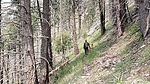 photo thumbnail #13