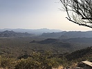 photo thumbnail #1