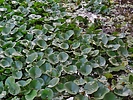 photo thumbnail #15