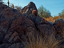 photo thumbnail #2