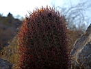 photo thumbnail #7