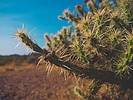 photo thumbnail #6