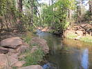 recent photo