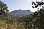 photo thumbnail #1