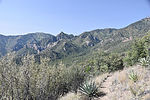 photo thumbnail #2