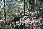 photo thumbnail #3