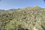 photo thumbnail #4
