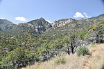 photo thumbnail #6