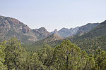 photo thumbnail #8