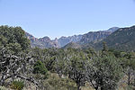 photo thumbnail #12