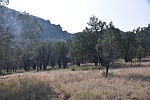 photo thumbnail #1
