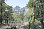 photo thumbnail #6