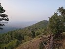 photo thumbnail #2