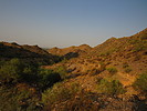 photo thumbnail #5