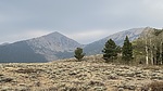 photo thumbnail #2