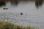 photo thumbnail #15