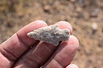photo thumbnail #2