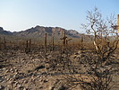photo thumbnail #9