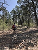 photo thumbnail #9