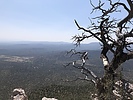 photo thumbnail #12