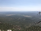 photo thumbnail #14