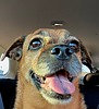 photo thumbnail #5