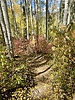 photo thumbnail #2