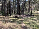 photo thumbnail #7