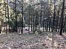 photo thumbnail #13